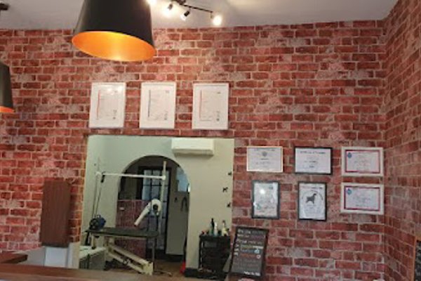 Photo associated with Wags In Style - Dog Grooming Salon