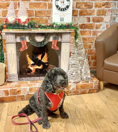 Photo associated with Wags In Style - Dog Grooming Salon