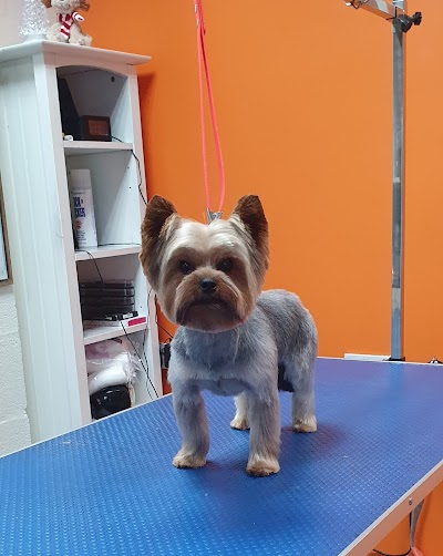 Photo associated with Sophie's Pride & Groom