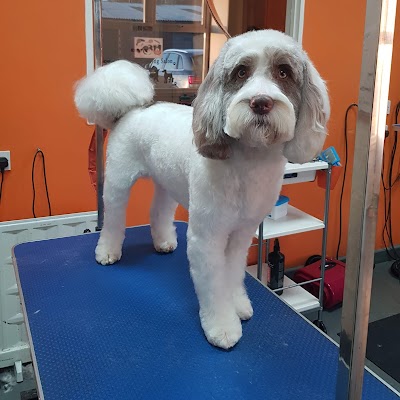 Photo associated with Sophie's Pride & Groom