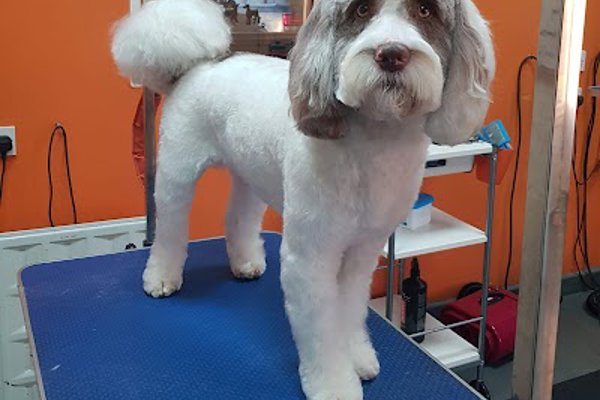 Photo associated with Sophie's Pride & Groom