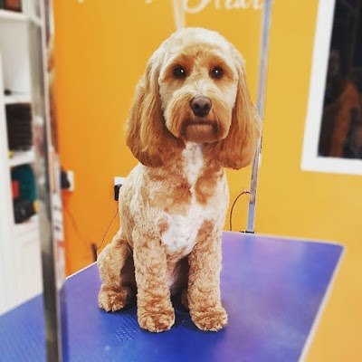 Photo associated with Sophie's Pride & Groom