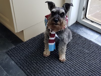 Photo associated with All 4 Paws