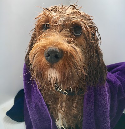 Photo associated with Totally Mutts (Maidenhead)
