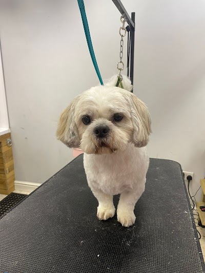 Photo associated with Groomtastic! Professional Dog Grooming