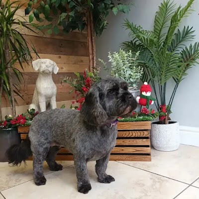 Photo associated with Groomtastic! Professional Dog Grooming