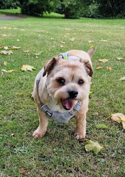 Photo associated with A-Sta Dog Grooming