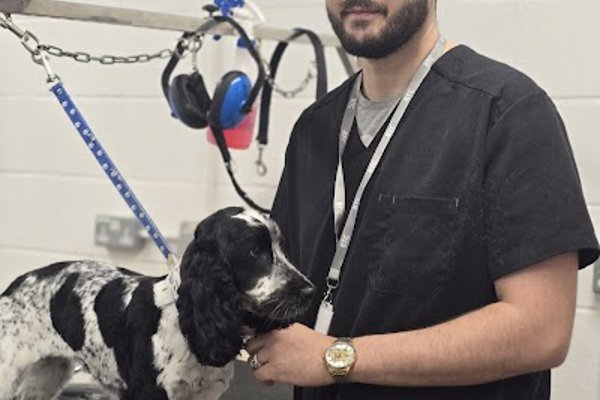 Photo associated with Coat and Clippers Dog Groomers