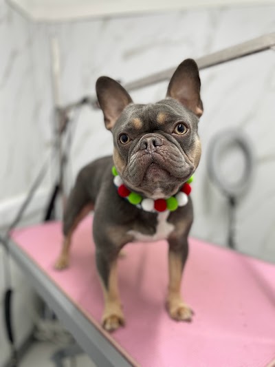 Photo associated with Toni’s Pet Spa & Training Academy.