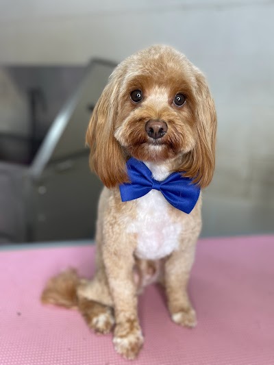 Photo associated with Toni’s Pet Spa & Training Academy.
