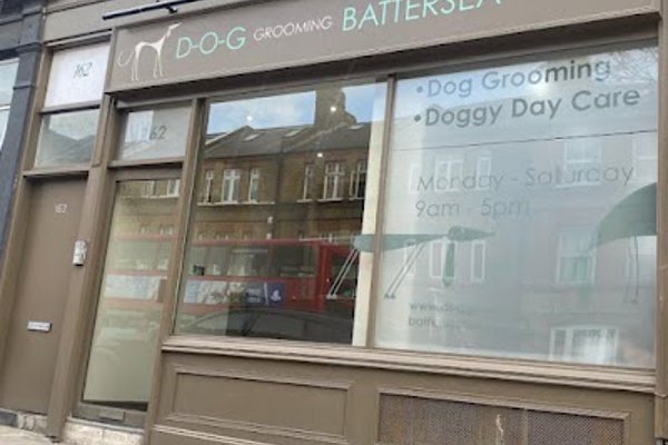 Photo associated with D-O-G Grooming Battersea