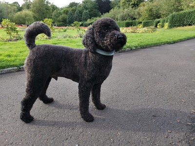Photo associated with Pampered Paws Glasgow