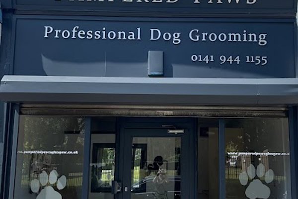 Photo associated with Pampered Paws Glasgow