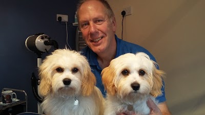 Photo associated with Head 2 Tail Dog Grooming