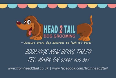 Photo associated with Head 2 Tail Dog Grooming