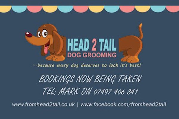 Photo associated with Head 2 Tail Dog Grooming