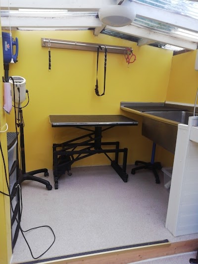 Photo associated with Shampooch Dog Grooming