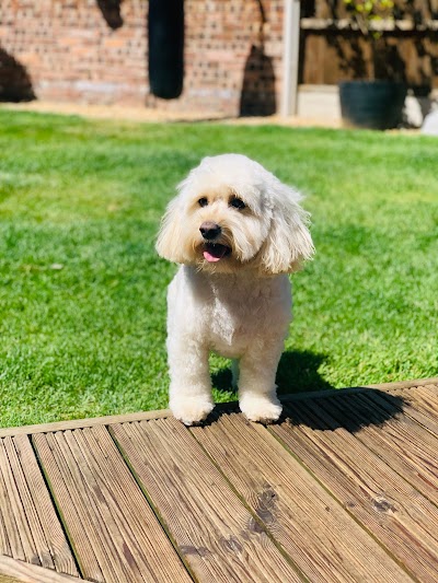 Photo associated with Groomingtails