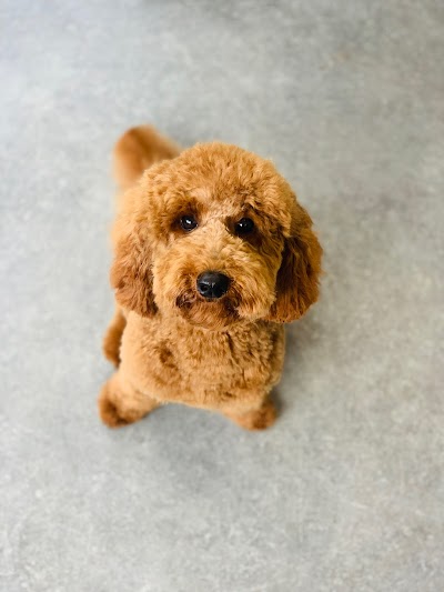 Photo associated with Groomingtails
