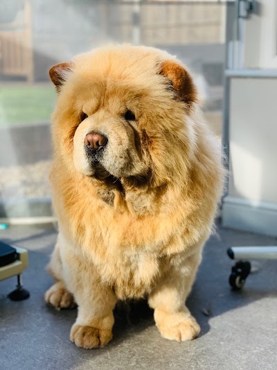 Photo associated with Groomingtails