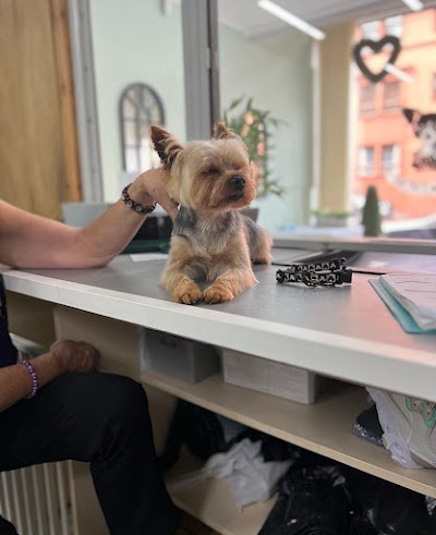 Photo associated with Patricia's Paws Day Grooming Parlour
