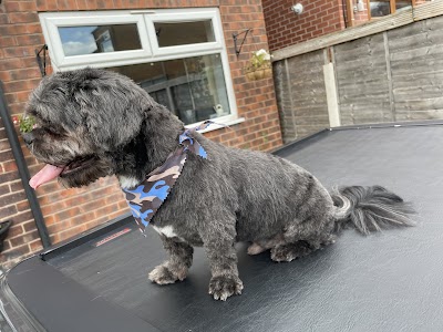 Photo associated with Scruffy to Fluffy