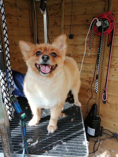 Photo associated with Houndsville Dog grooming