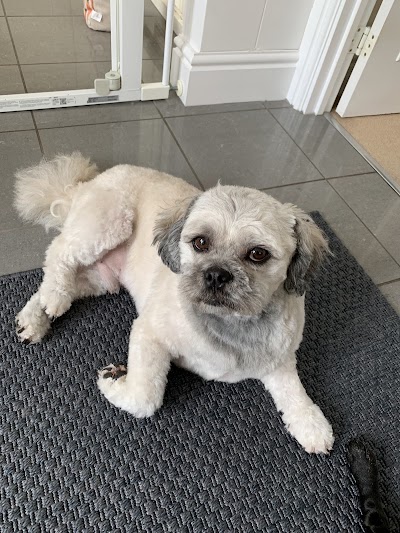 Photo associated with Pawprint Dog Grooming