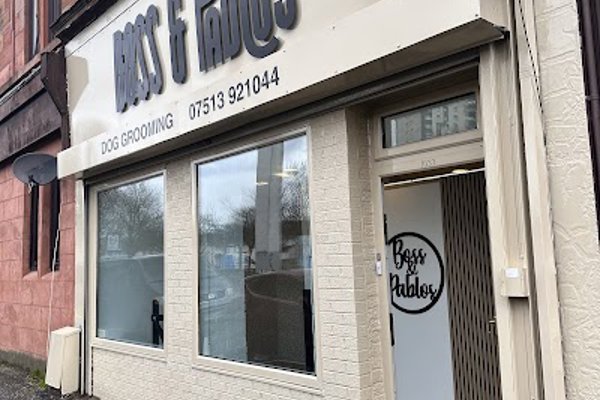 Photo associated with Boss & Pablos Dog Grooming