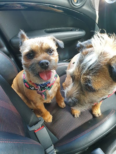 Photo associated with Bow Wow Scotland Dog Grooming Studio