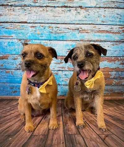 Photo associated with Bow Wow Scotland Dog Grooming Studio