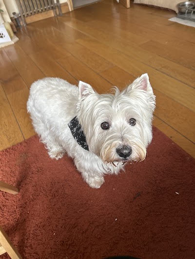 Photo associated with Paws In The City, Greenford