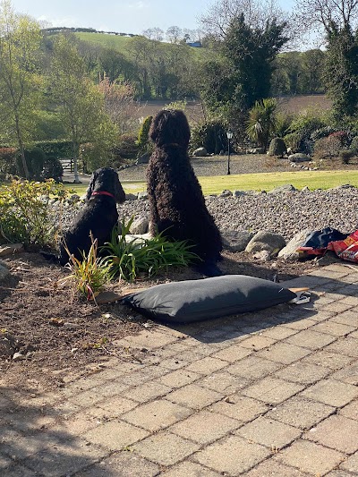Photo associated with Trinity Dog Groomers