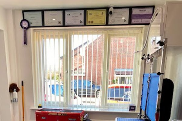 Photo associated with West Bridgford Dog Grooming