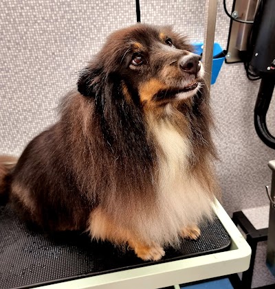 Photo associated with Dial a Dog Wash South Birmingham