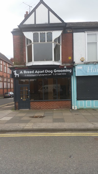 Photo associated with A Breed Apart Dog Grooming