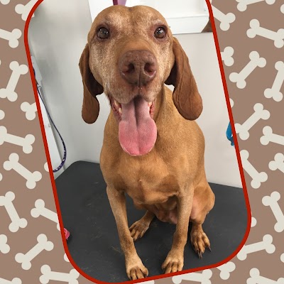 Photo associated with Cut & Cuddle Pet Groomers