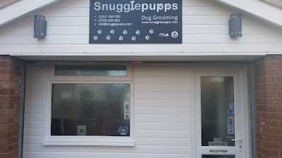 Photo associated with Snugglepupps Dog Grooming