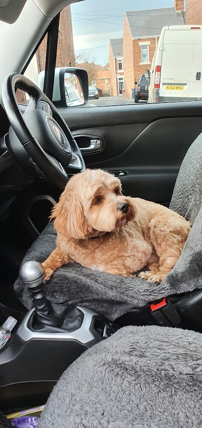 Photo associated with Posh Dogs