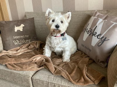 Photo associated with Posh Dogs