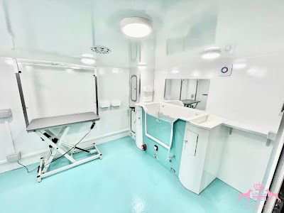 Photo associated with Chrissy's Pet Parlour