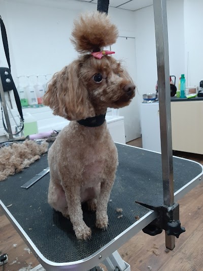 Photo associated with Townsend Grooming Salon
