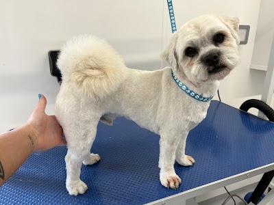 Photo associated with Kobi's Kutz Dog Groomers Worcester
