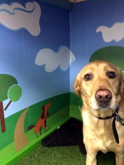 Photo associated with Sam's Woof Wash Grooming Studio