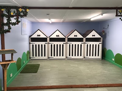 Photo associated with Sam's Woof Wash Grooming Studio