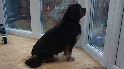 Photo associated with Cb Grooming