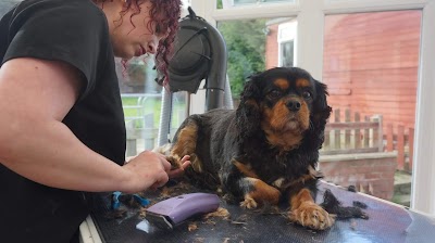 Photo associated with Cb Grooming
