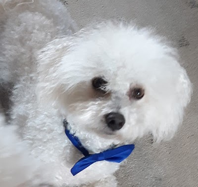 Photo associated with Cb Grooming