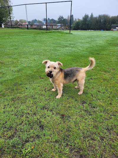 Photo associated with Karen's Canine Cuts