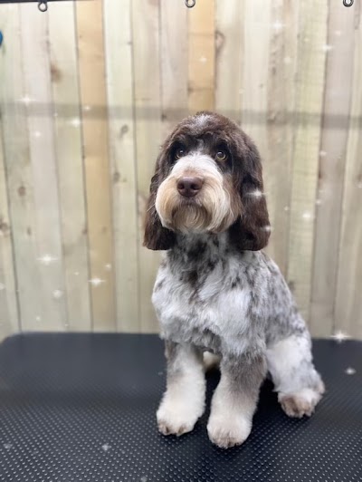 Photo associated with Pride & Groom Dog Groomer
